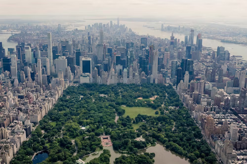 Urban meets spiritual—New York City skyline blended with mystical forest for shamanic healing.