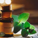 Eucalyptus Oil. Essential Oils