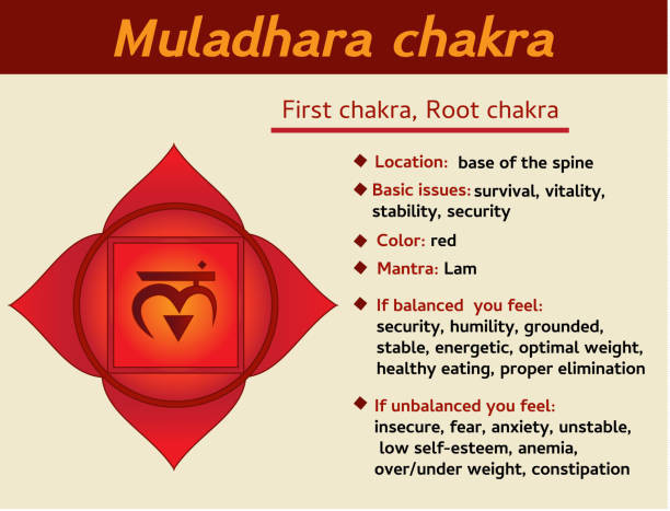 Root Chakra (Muladhara)