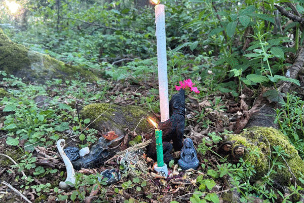 Love spell ritual setup by Batha in North Carolina using native herbs and candles