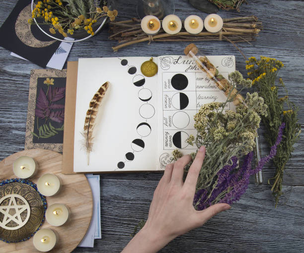 How to Cast a Love Spell at Home: Beginner Guide 11 Basic Love Spell Materials