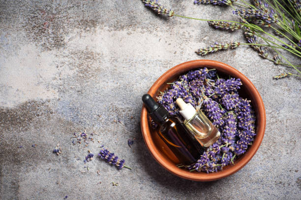 Essential Oils 4 Lavender Essential Oil