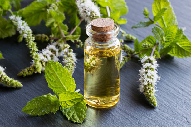 Essential Oils 6 Peppermint Oil