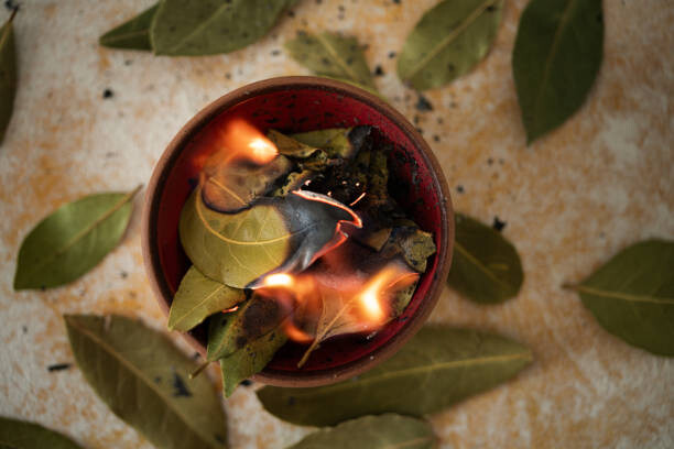 Protection from Evil Spells 20 Bay leaf with protective intention written on it for Protection from Evil Spells