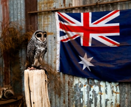 Spells That Work Fast in Australia 2 Traditional Australian energy practices inspiring modern spells that work fast in Australia.
