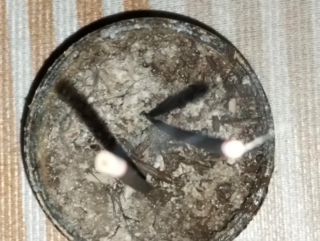 Love spells that work overnight in Oakville and Burlington